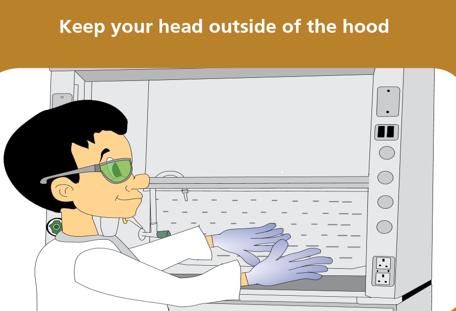 3. Keep your face outside the plane of the hood. Never lean your head down towards the opening of the fume hood. Practice working at least 6 inches back from the face of the hood. A stripe on the bench surface is a good reminder.