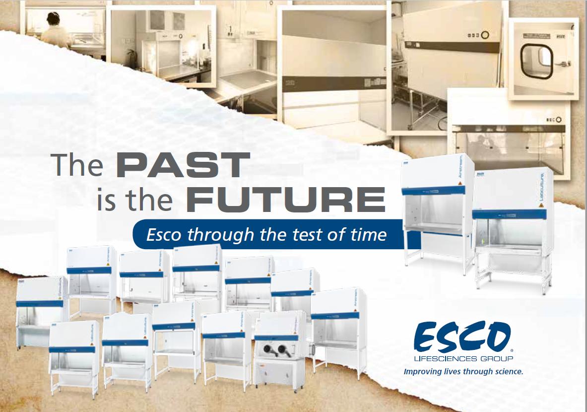 The Past is the Future, Esco over the years.