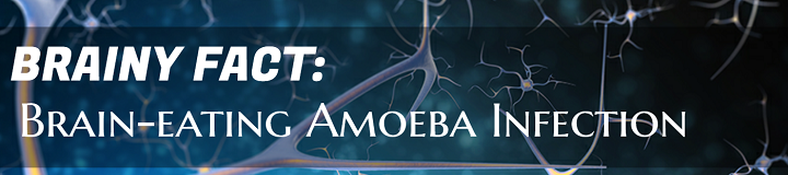 Brainy Fact: Brain-eating Amoeba Infection